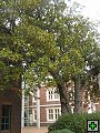 thn_NZ leden-unor 2006 049.jpg